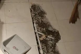 大足卫生间漏水检测电话